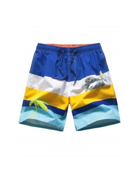 Color Block Board Shorts